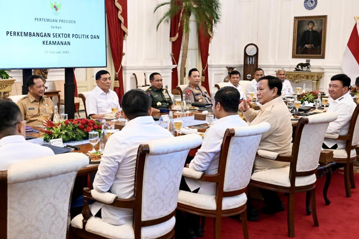 WhatsApp Image 2025-02-18 at 07.46.09