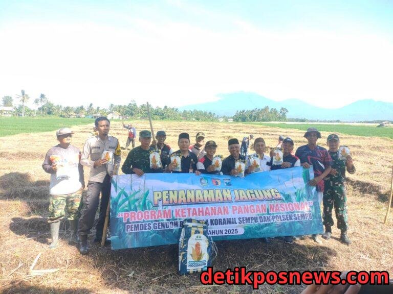 IMG-20250320-WA0004(2)