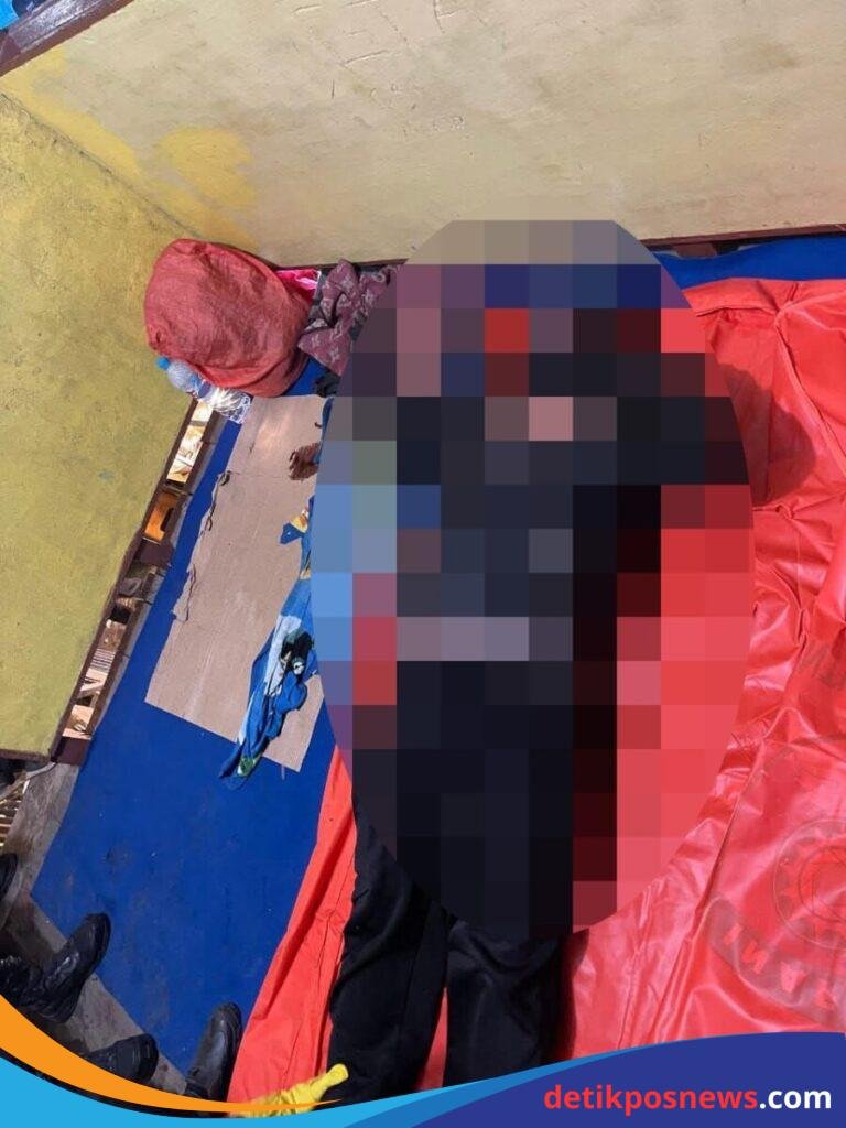 IMG-20250513-WA0051(1)