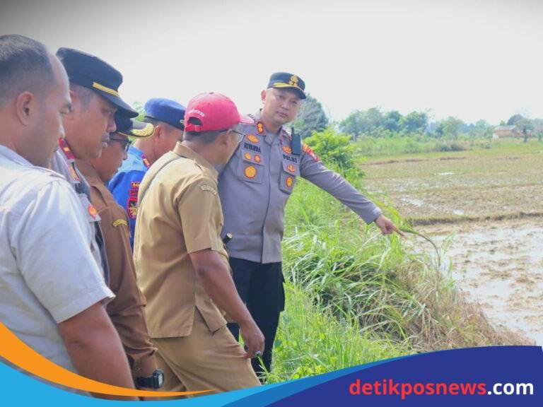 IMG-20250520-WA0132_1