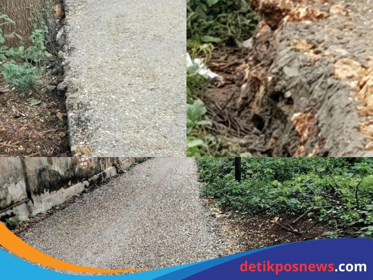 ImageMerge_Collage_20250515_201153776_1