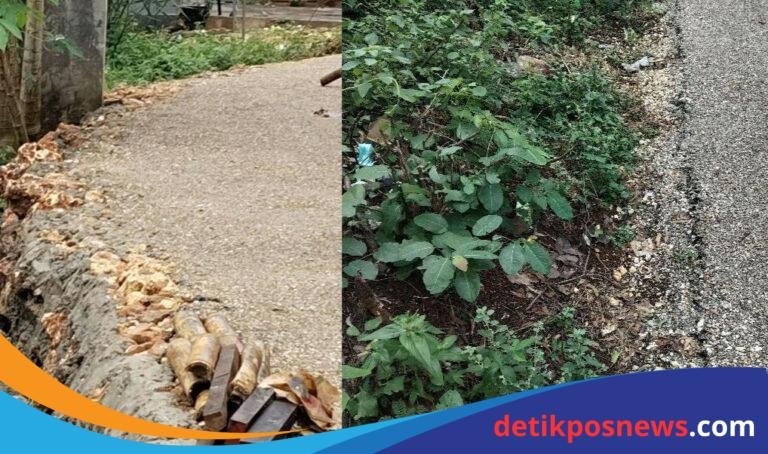 ImageMerge_LongImage_20250512_152745572_1_1