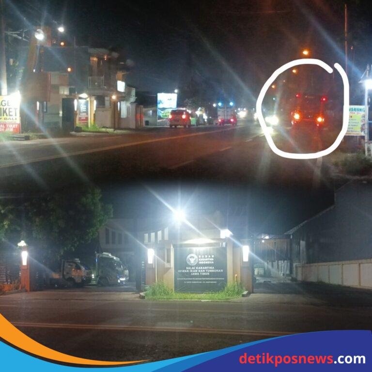 InCollage_20250512_224344098_copy_1600x1600