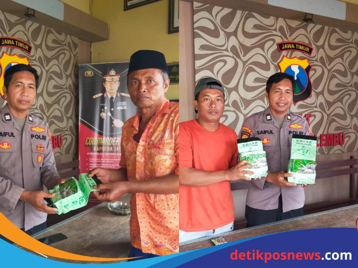 ImageMerge_Collage_20250601_133924704