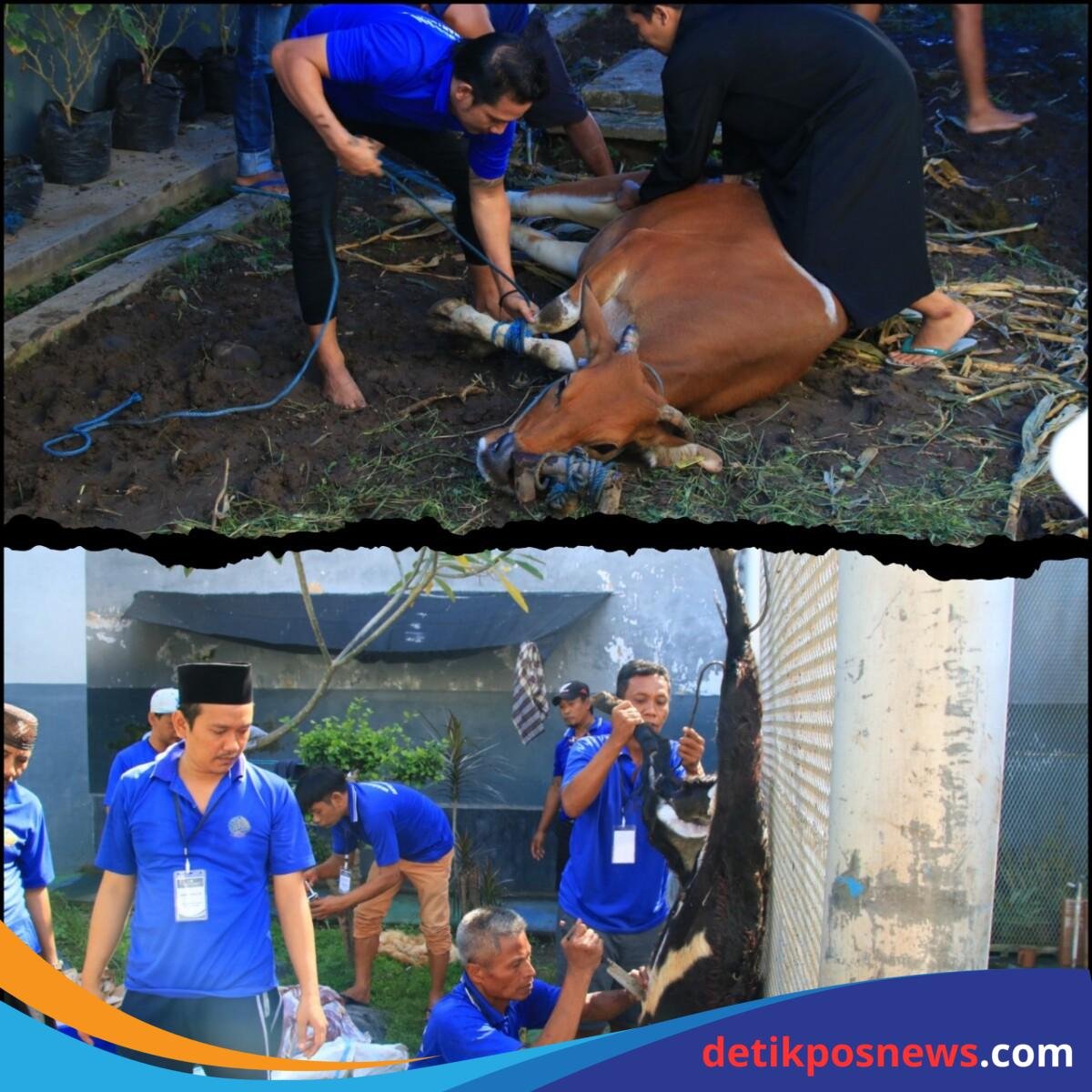 InCollage_20250606_111956628_copy_1280x1280