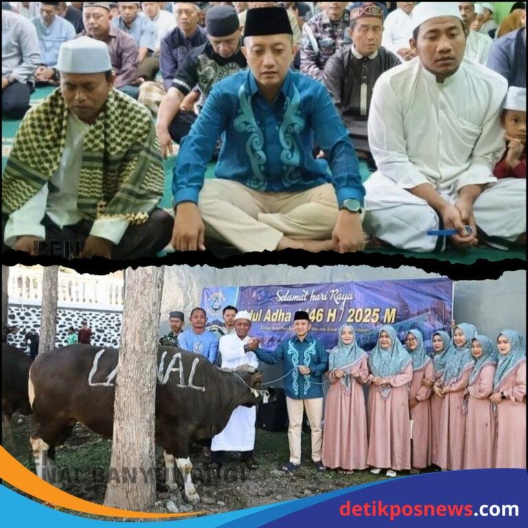 InCollage_20250607_182927915_copy_1280x1280