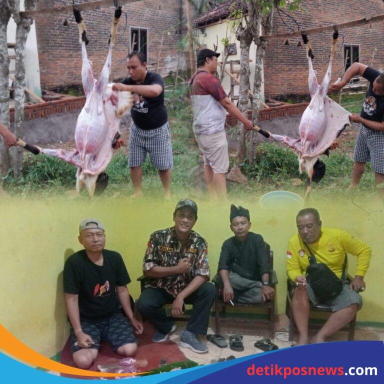 InCollage_20250608_155304424_copy_1280x1280