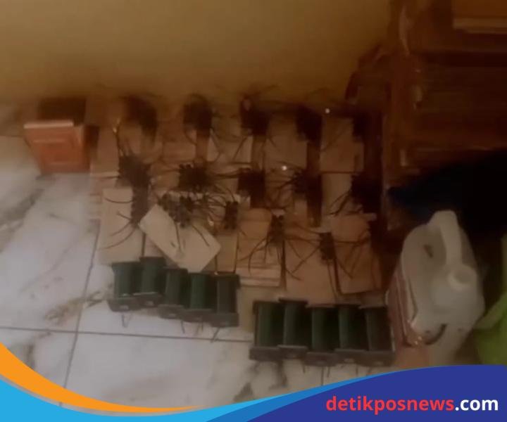 Screenshot_2025-06-23-21-45-50-01