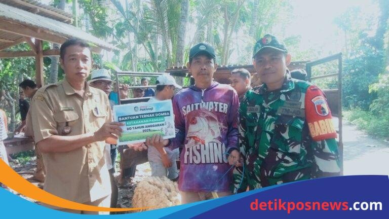 IMG-20250702-WA0006_copy_1280x720