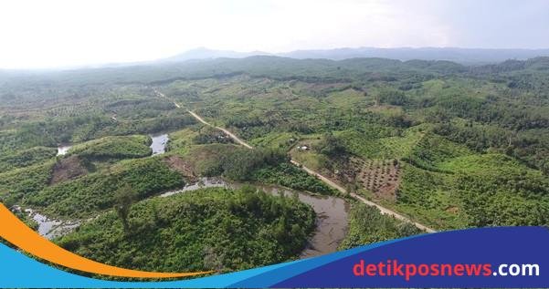 IMG-20250721-WA0035(1)