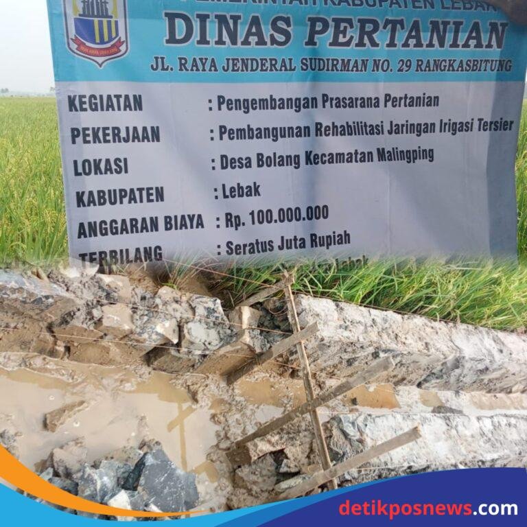 InCollage_20250715_102808176_copy_1024x1024