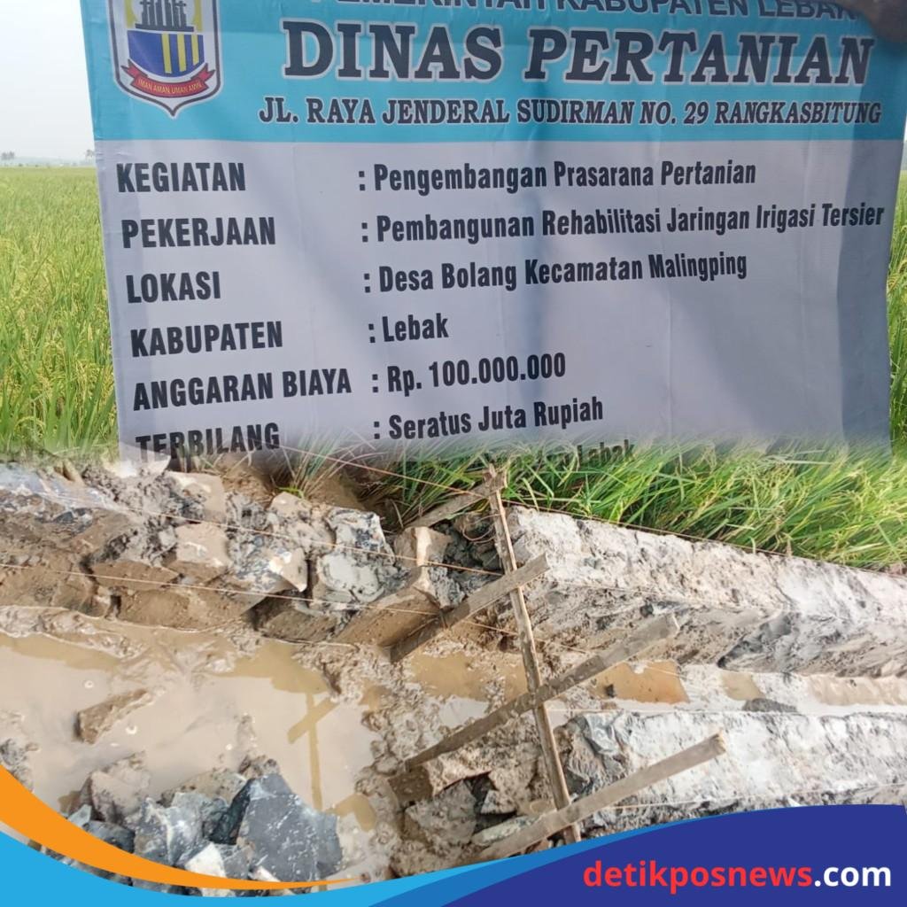 InCollage_20250715_102808176_copy_1024x1024