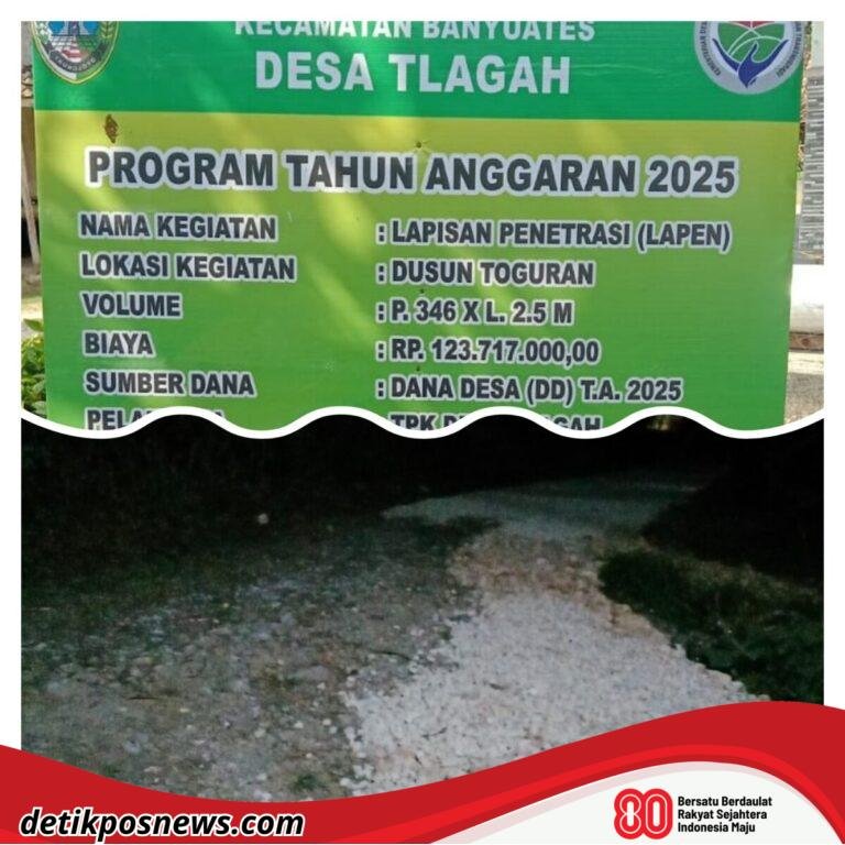 GridArt_20250808_203750068