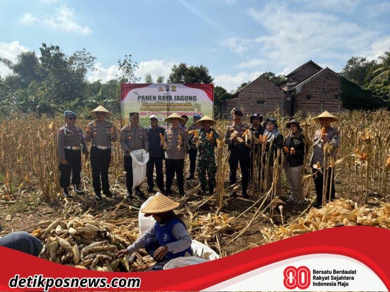 IMG-20250819-WA0062_copy_1024x768