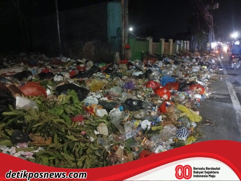 IMG_20250801_200652_411_copy_1024x768