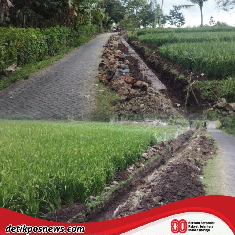 InCollage_20250816_101624344_copy_1024x1024