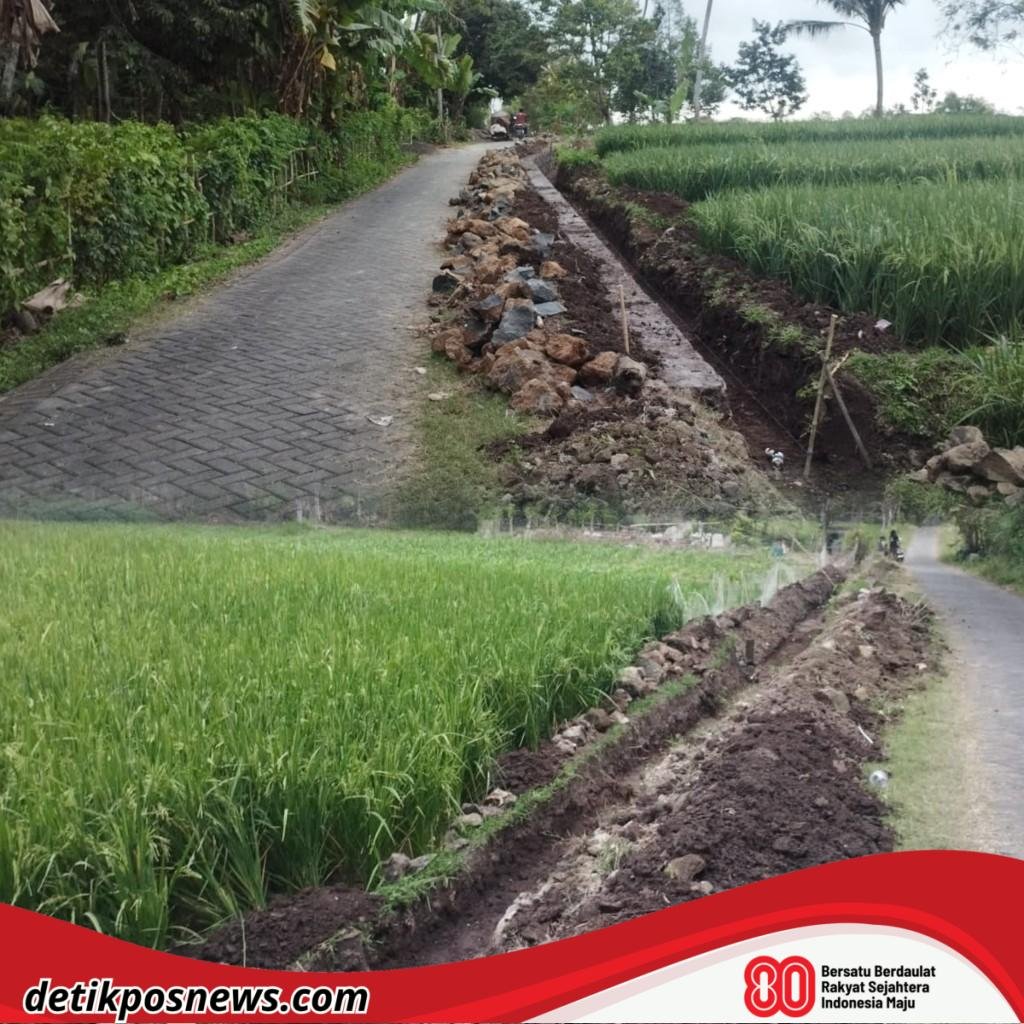 InCollage_20250816_101624344_copy_1024x1024