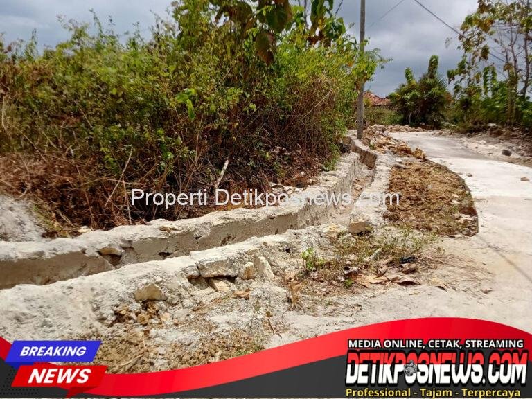 IMG-20250919-WA0041(1)_1