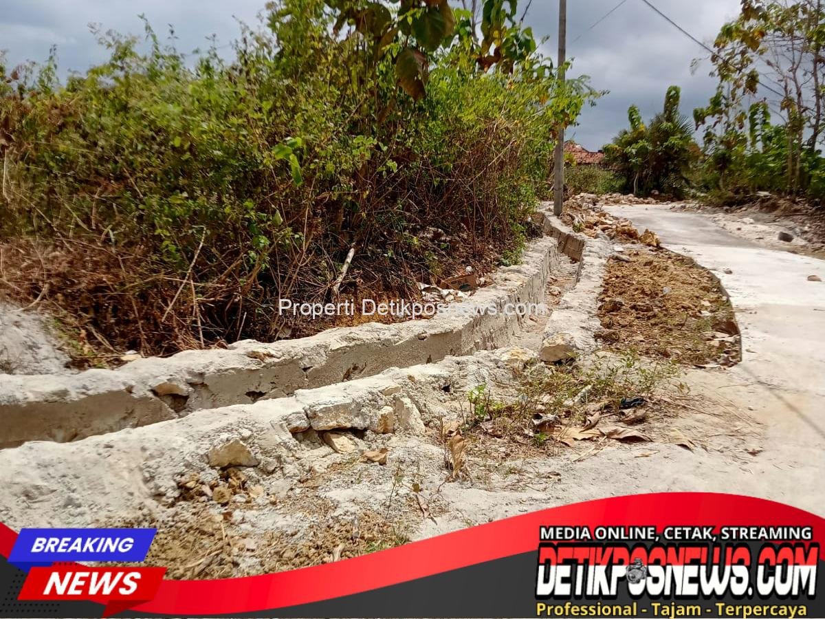 IMG-20250919-WA0041(1)_1