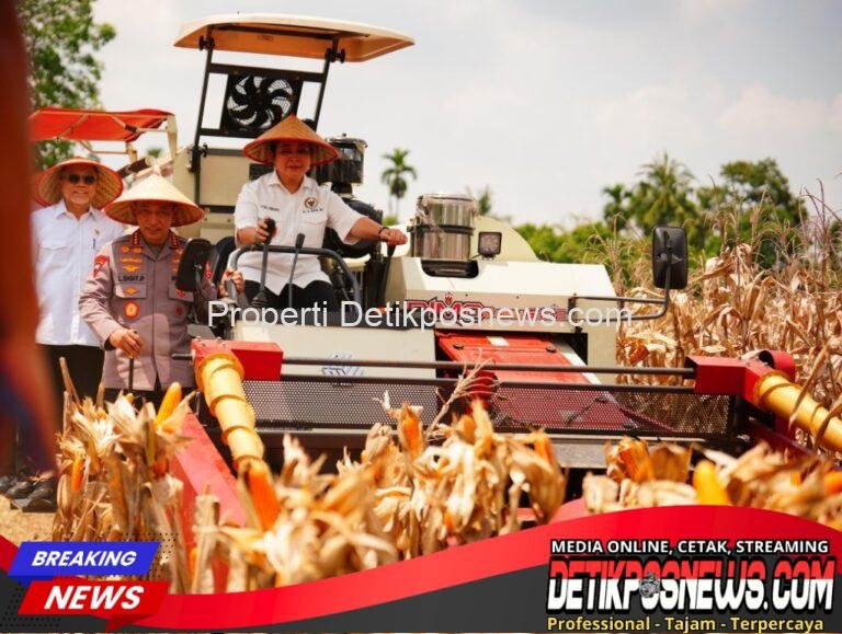 IMG-20250928-WA0042_copy_1024x771