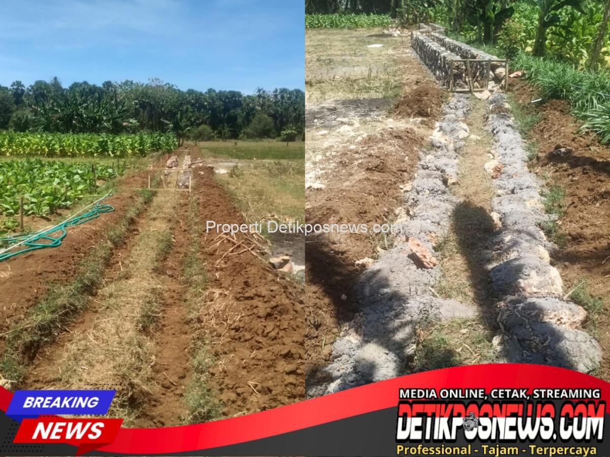 ImageMerge_Collage_20250923_133804390