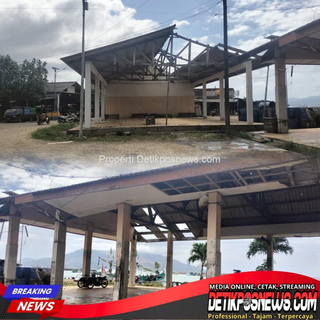 InCollage_20250922_080646168_copy_1024x1024