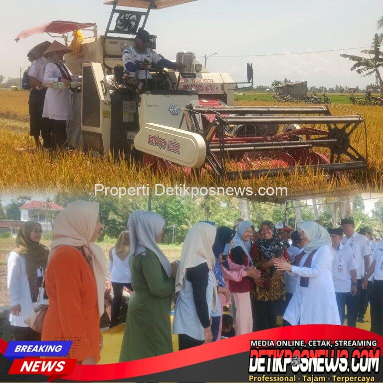 InCollage_20250924_121559337_copy_1024x1024