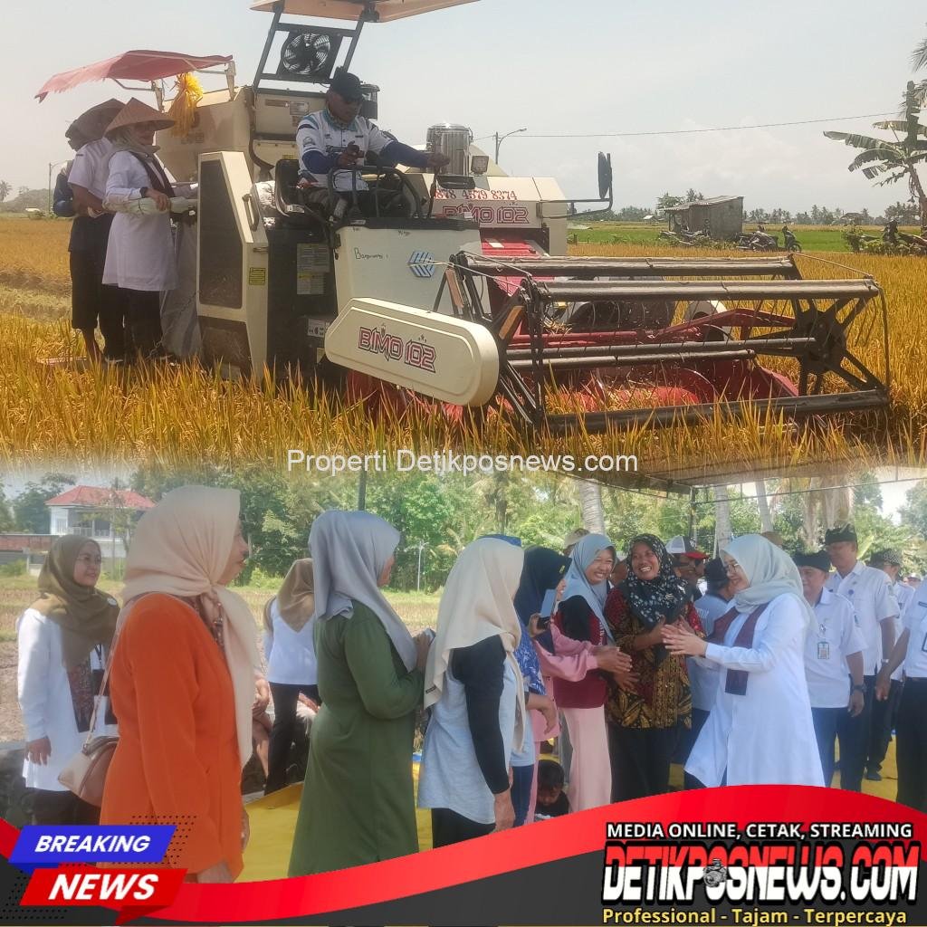 InCollage_20250924_121559337_copy_1024x1024