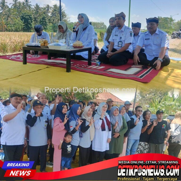 InCollage_20250924_121647186_copy_1024x1024