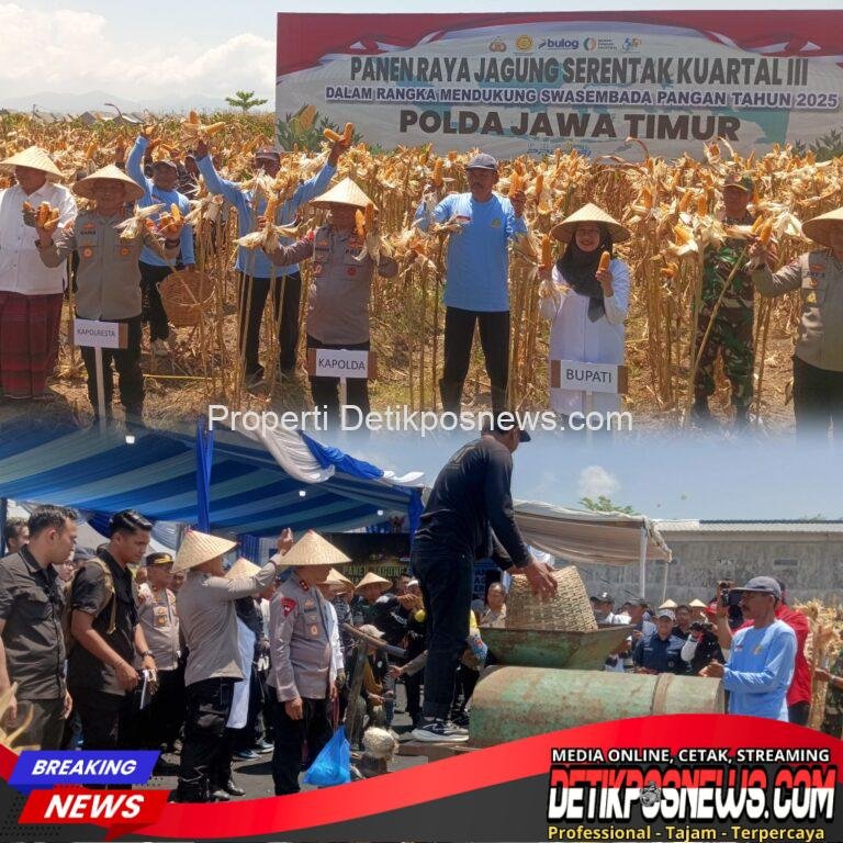 InCollage_20250927_134312795_copy_1024x1024