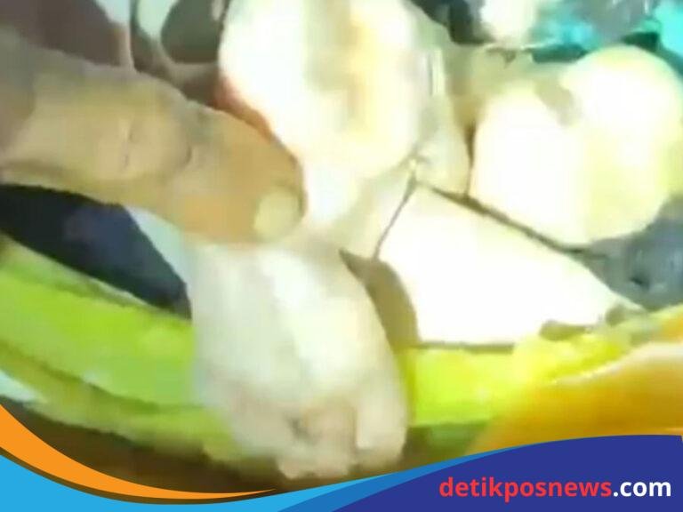 Screenshot_20250903_054142_1