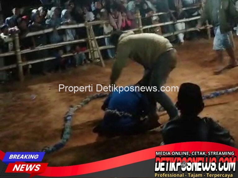 Screenshot_20250924_150903_1