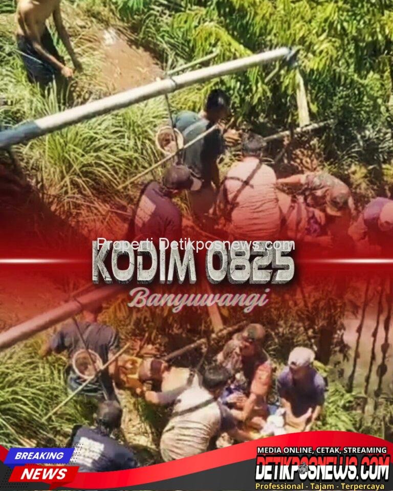 FB_IMG_1759508041816