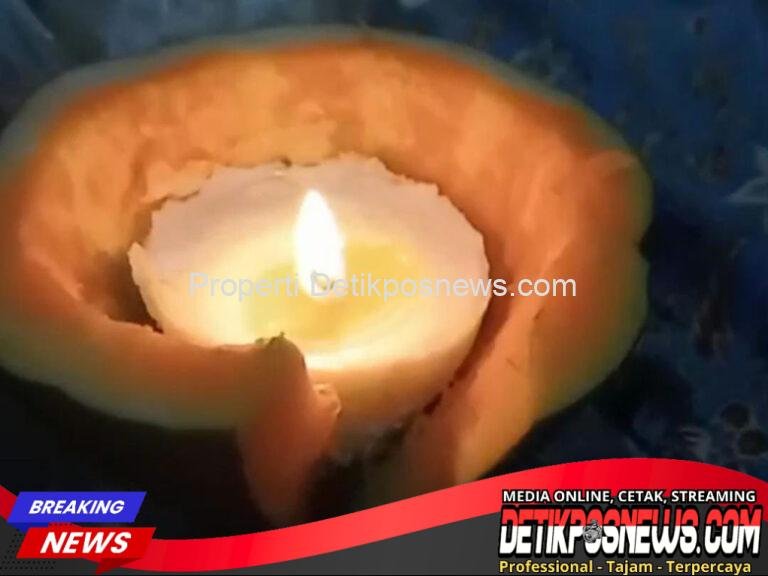 IMG-20251030-WA0123_1