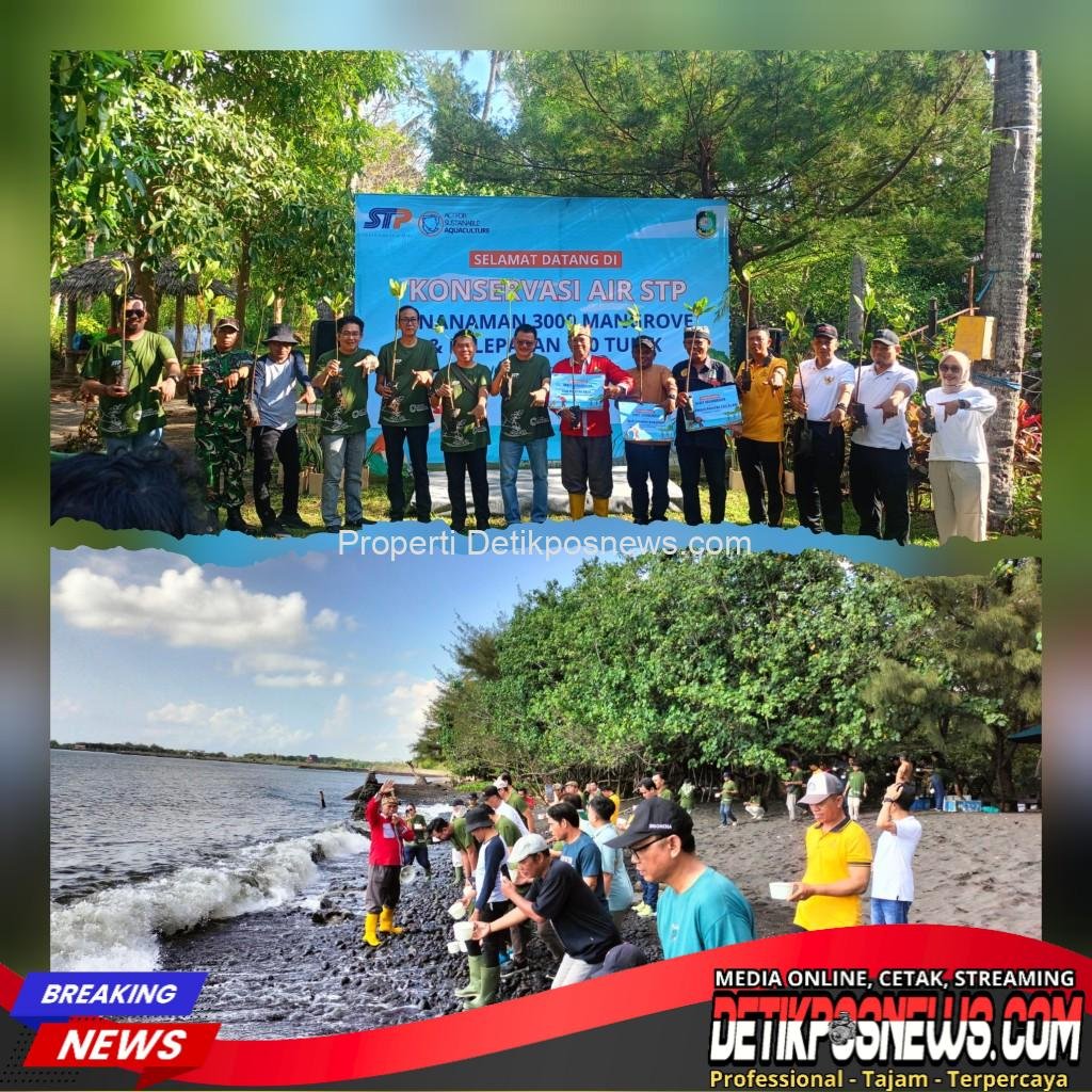 InCollage_20251018_124749104_copy_1024x1024