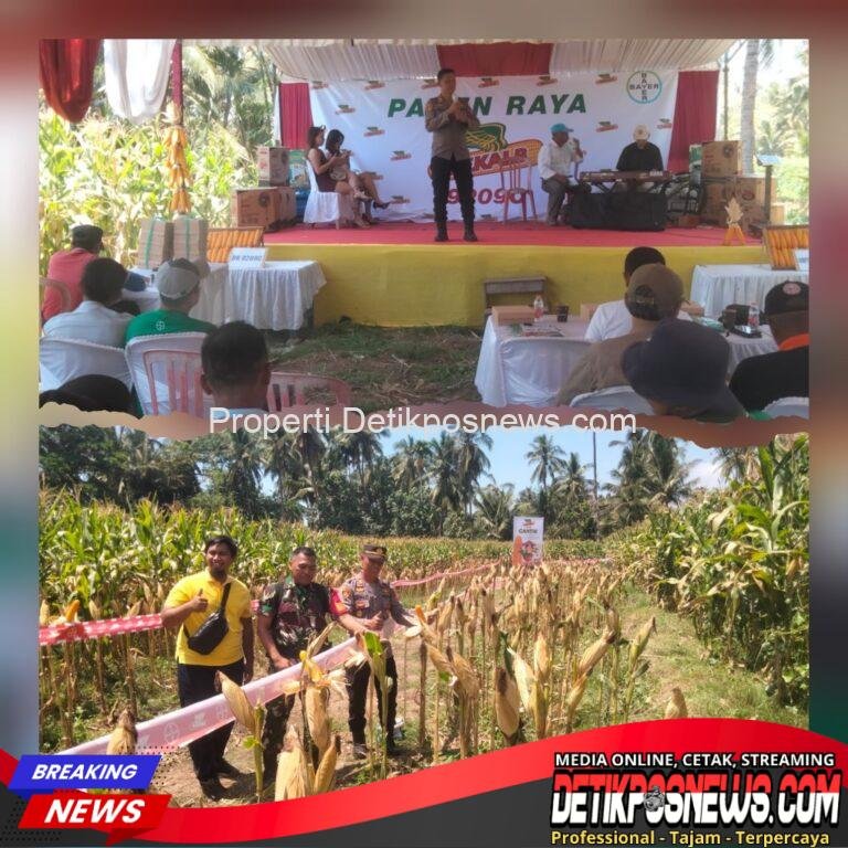 InCollage_20251018_180009358_copy_1024x1024