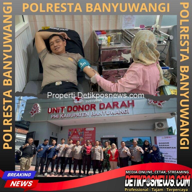 InCollage_20251022_111632811_copy_1024x1024