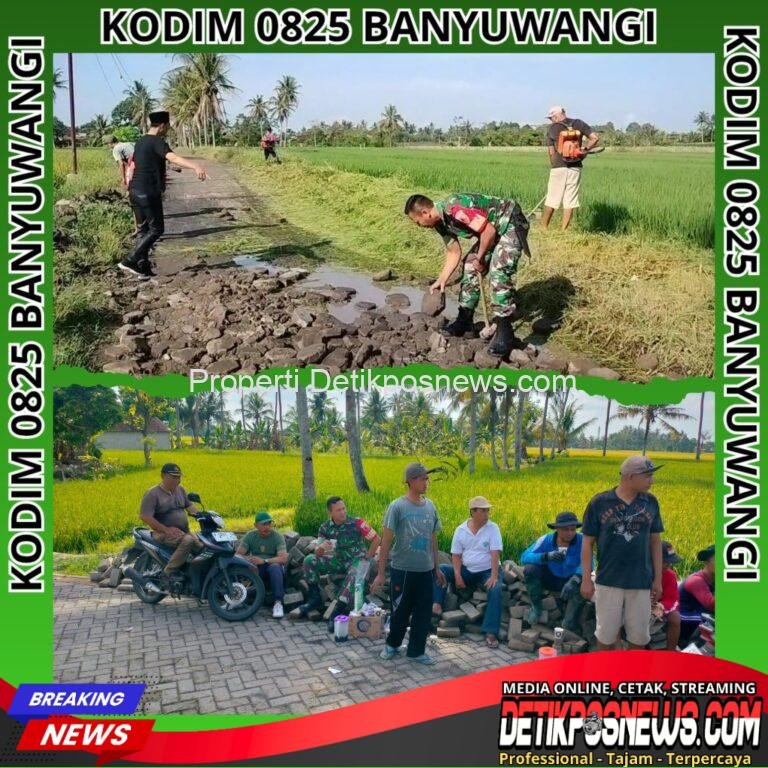 InCollage_20251029_125752720_copy_1024x1024