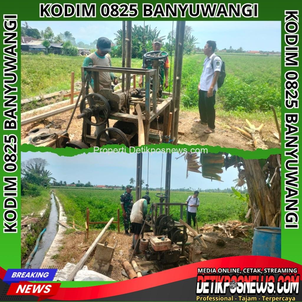 InCollage_20251030_195942742_copy_1024x1024