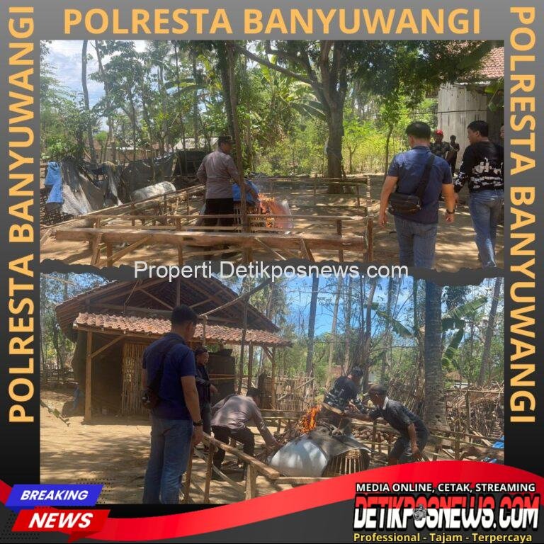 InCollage_20251031_162128953_copy_1024x1024