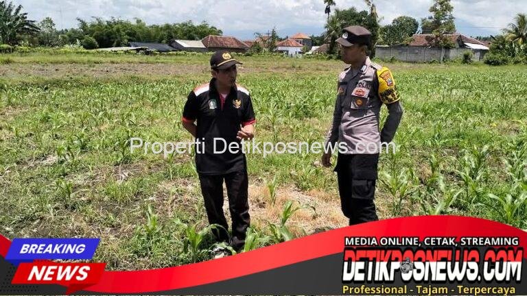 FB_IMG_1762227573057