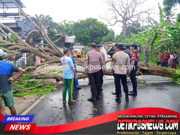 IMG-20251111-WA0117_1