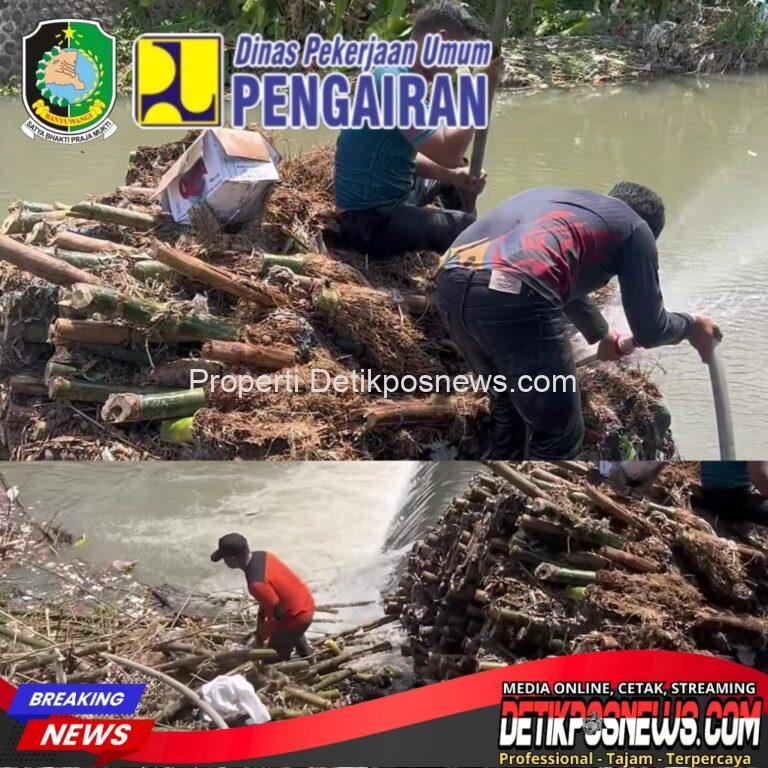 IMG-20251118-WA0034_copy_1024x1024