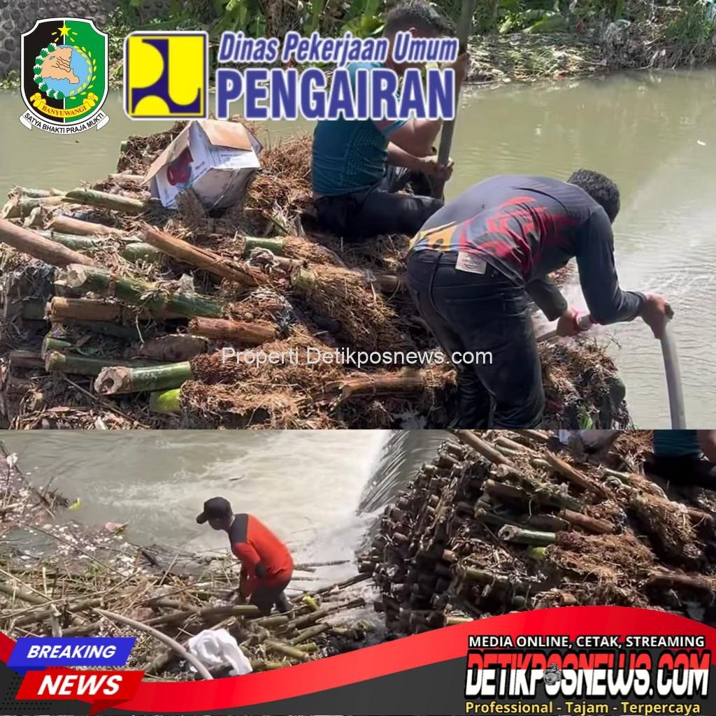 IMG-20251118-WA0034_copy_1024x1024