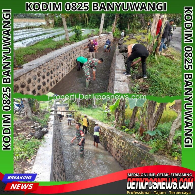 InCollage_20251101_204500224_copy_1024x1024