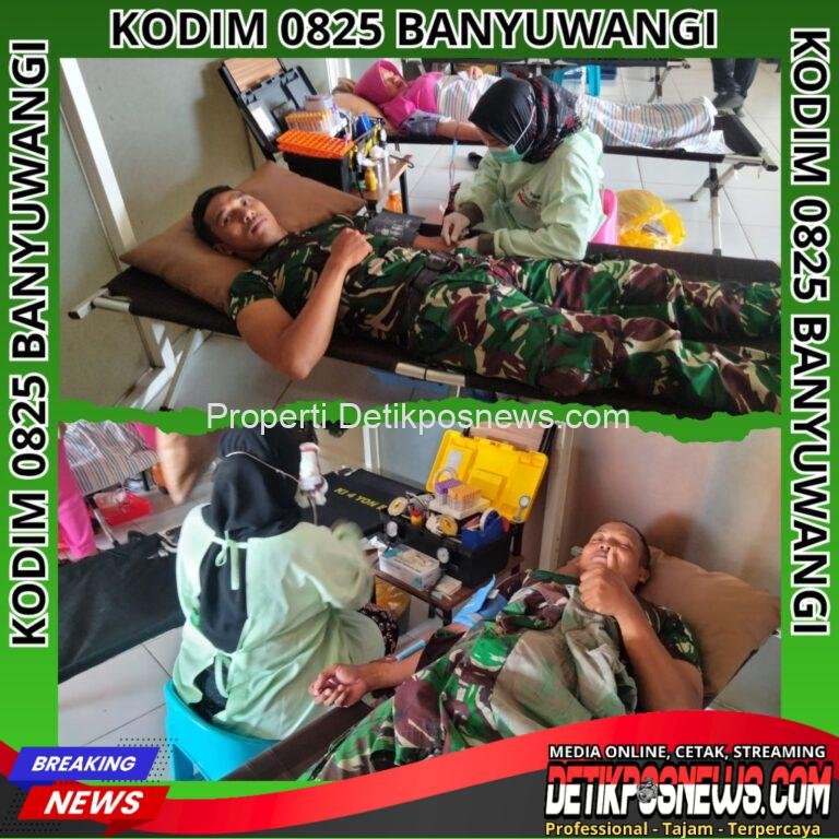 InCollage_20251105_152358817_copy_1024x1024