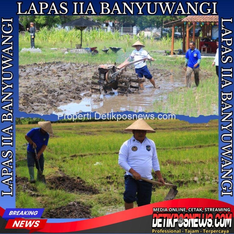 InCollage_20251107_154631293_copy_1024x1024