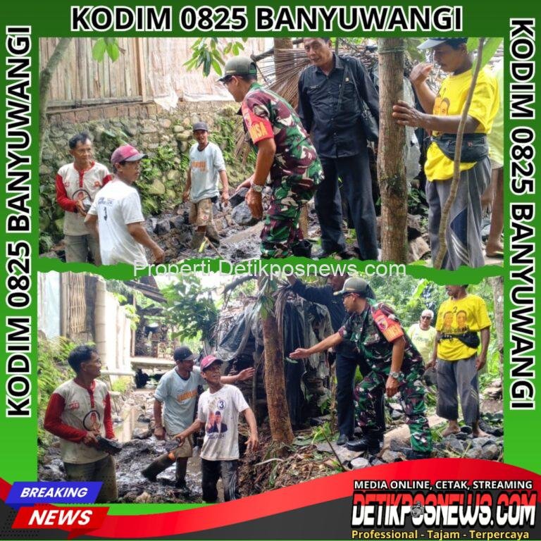 InCollage_20251109_175732747_copy_1024x1024