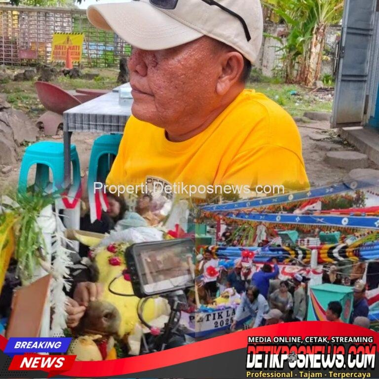 InCollage_20251109_182955389_copy_1024x1024