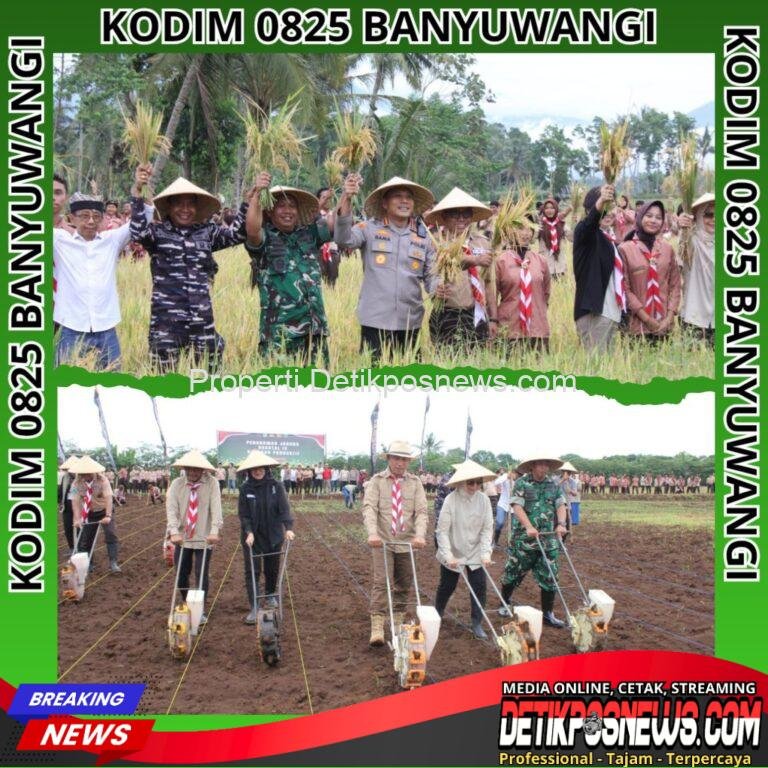 InCollage_20251109_224951587_copy_1024x1024